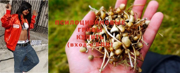 мет Абаза
