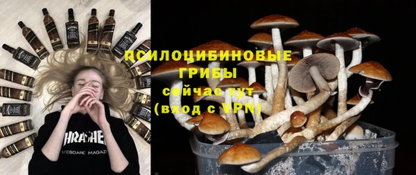 мет Абаза