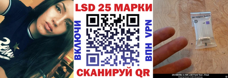купить наркотики сайты  Каменка  Марки 25I-NBOMe 1,8мг 