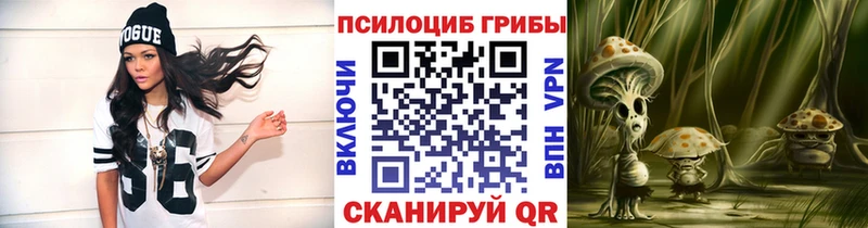 OMG ССЫЛКА  Каменка  Галлюциногенные грибы ЛСД 
