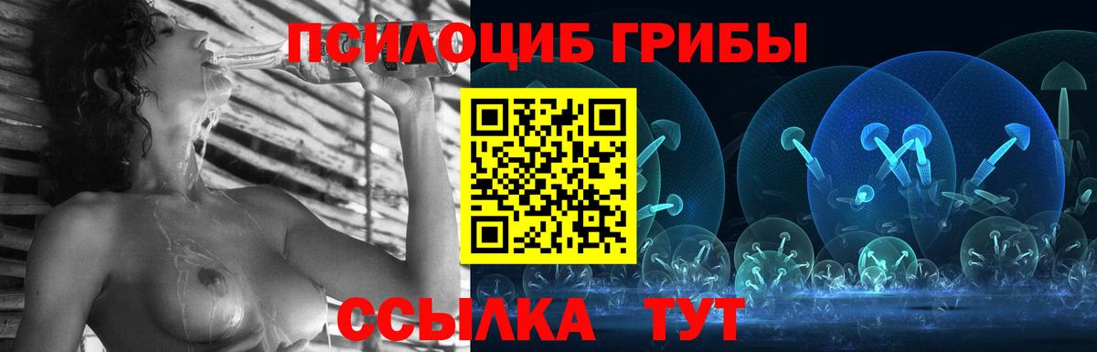 Каменка  Псилоцибиновые грибы MAGIC MUSHROOMS  Вход с VPN 