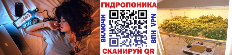 Конопля VHQ купить наркотики цена omg как войти Каменка